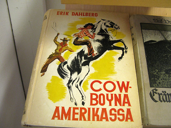 cow-boyna